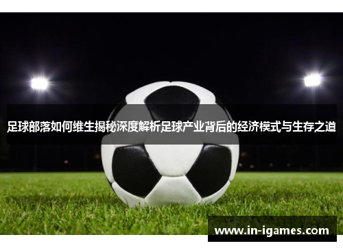 足球部落如何维生揭秘深度解析足球产业背后的经济模式与生存之道