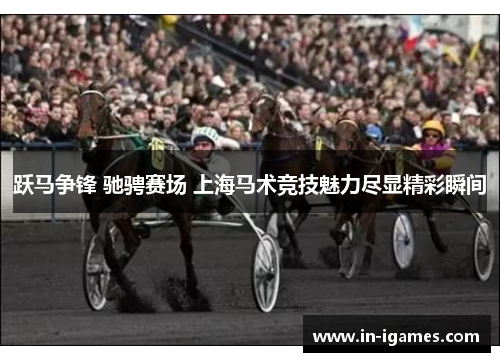 跃马争锋 驰骋赛场 上海马术竞技魅力尽显精彩瞬间