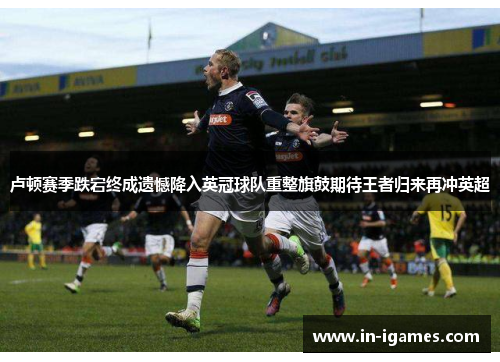 卢顿赛季跌宕终成遗憾降入英冠球队重整旗鼓期待王者归来再冲英超