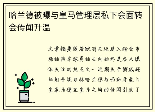 哈兰德被曝与皇马管理层私下会面转会传闻升温